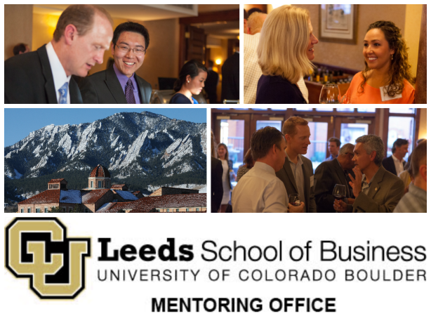 Professional Mentorship Program for Undergraduates