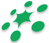 Program Logo - Link to Home Page